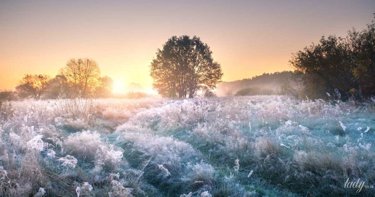 Гороскоп на 26 листопада