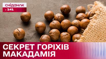 Найдорожчий горіх у світі: в чому користь макадамії та секрет високої ціни?