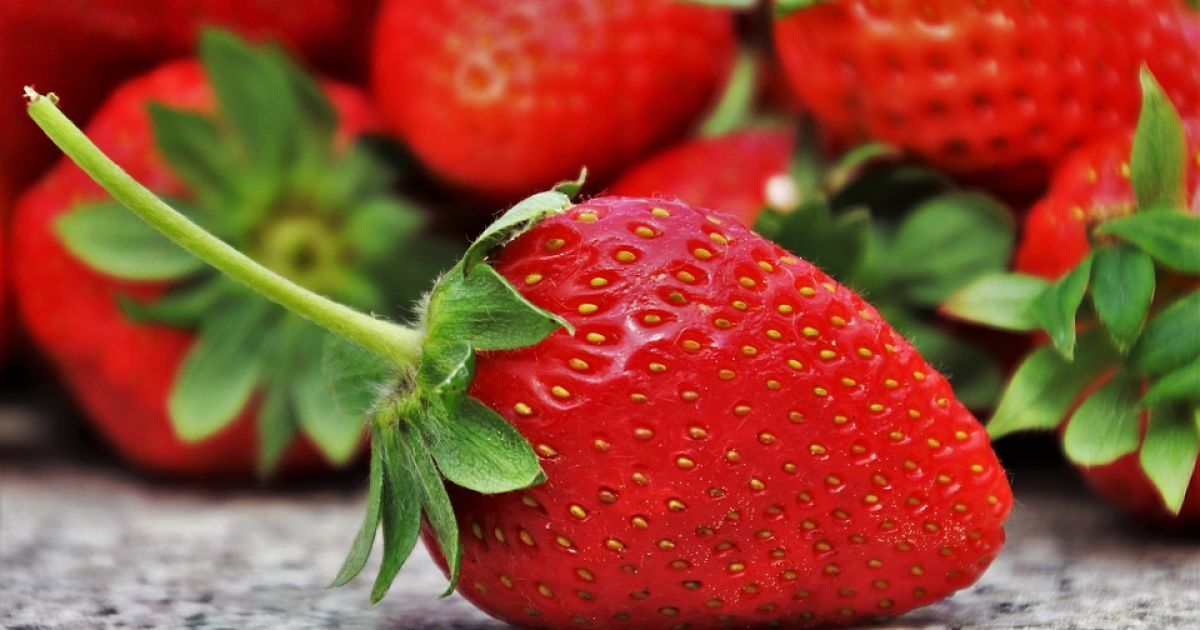 Сезон клубники: сколько стоит ягода в разных регионах Украины