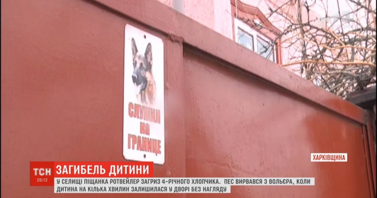 "Вся ділянка була в крові". Ротвейлер, який загриз 4-річного хлопчика, також покусав його бабусю