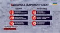 Берегите наших четвероногих друзей! Первая помощь животным летом: как спасти собаку или кошку от перегрева
