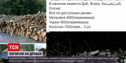 Новости Днепропетровской области: мошенники выманили более миллиона гривен на продаже дров