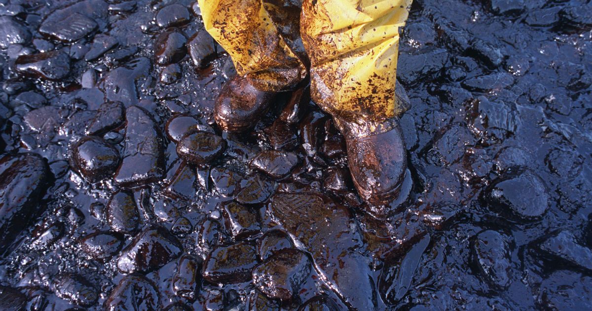 В России арестовали четырех фигурантов дела о загрязнении нефти, еще двое объявлены в розыск