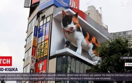 Машет хвостом и мяукает к прохожим: в Японии на торговом центре "поселили" огромную кошку