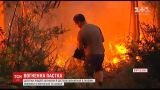 Десятки человек погибли в лесных пожарах в Португалии и Испании