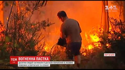 Десятки людей загинули у лісових пожежах у Португалії та Іспанії