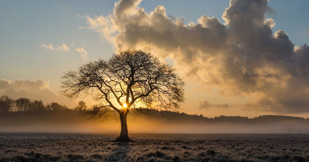 Выходными будет тепло