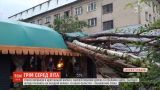 Ураган вместе с дождем валил рекламные конструкции и деревья в Днепропетровской области