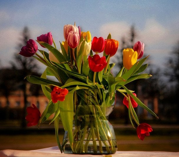 День ангела 14 березня — душевні привітання в прозі / © unsplash.com