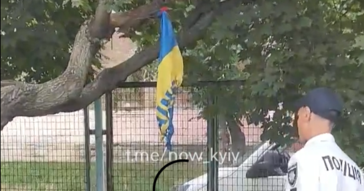 У Києві двоє підлітків підпалили прапор України: відео
