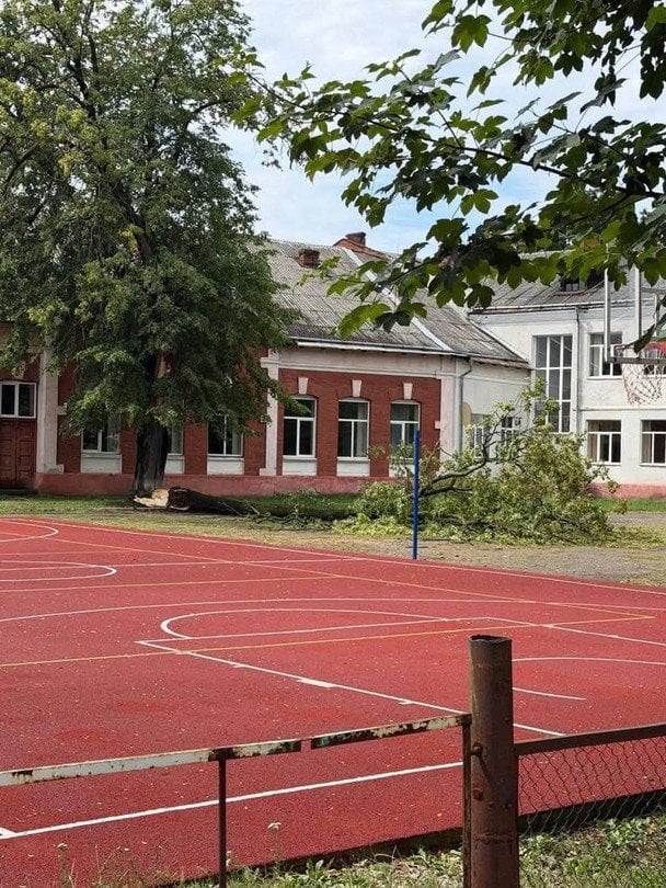 Наслідки негоди у Коломиї: ліквідація триває / © ДСНС
