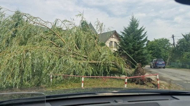 Наслідки негоди у Коломиї: ліквідація триває / © ДСНС