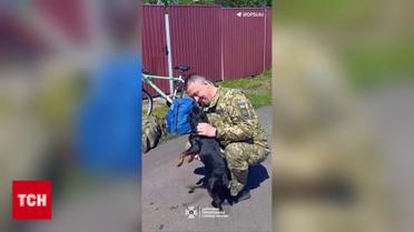 Пес дочекався господаря, який два роки був у полоні!