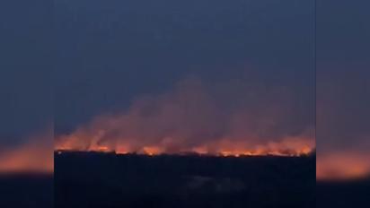 Під Києвом вирує масштабна пожежа