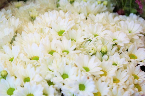 День ангела 17 квітня — душевні привітання в прозі / © unsplash.com