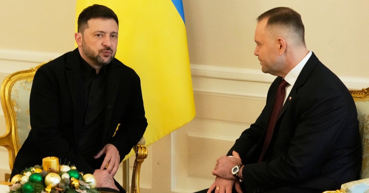 Кароль Навроцький і Володимир Зеленський