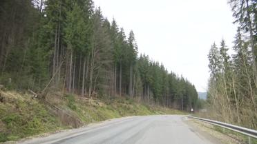 Суд заборонив будувати новий курорт у Карпатах