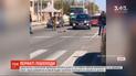 Дика качка з каченятами на кілька хвилин зупинила рух транспорту в Харкові