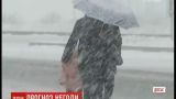 На Украину надвигается мощный циклон с метелями и мокрым снегом