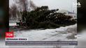 В Лебедине новогодняя елка упала из-за урагана | Новости Украины