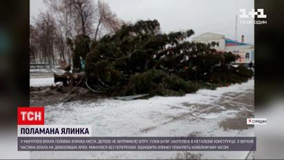 В Лебедине новогодняя елка упала из-за урагана | Новости Украины