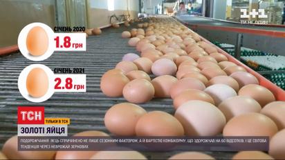 Стратегический продукт: почему в Украине подорожали яйца