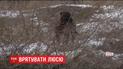 В Херсоне 12-летний школьник спас щенка от смерти на льду
