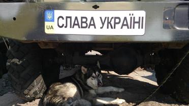 Наименьшие боевые побратимы / © facebook.com/theministryofdefence.ua