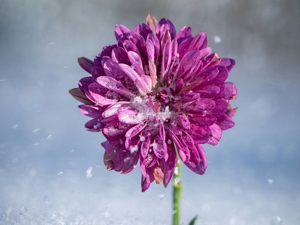 День ангела 4 грудня — душевні привітання в прозі / © unsplash.com