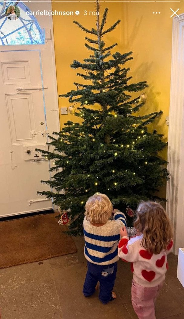 Дети Бориса и Кэрри Джонсон / © Instagram Кэрри Джонсон