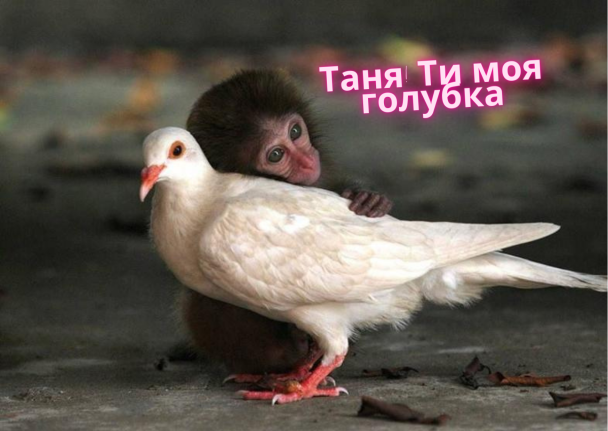 Картинки з Днем ангела Тетяни