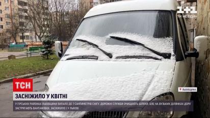 Погода в Украине: в горных районах Львовской области выпал снег