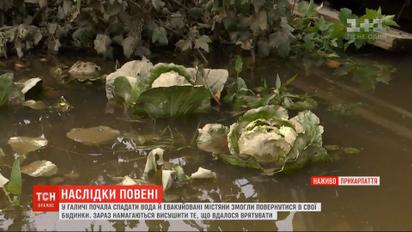 На Прикарпатті вода поступово спадає