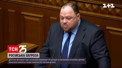 Нардепы выясняли, готова ли Украина давать отпор, и приняли обращение к союзникам