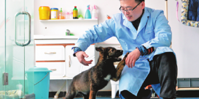 В Китае тренируют первую в мире клонированную собаку-полицейского
