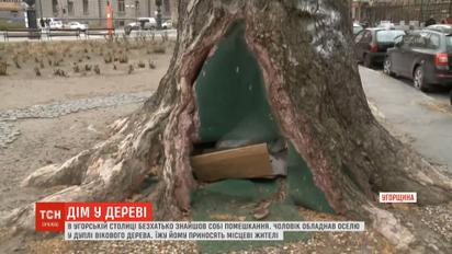 В угорській столиці безхатько облаштував собі помешкання у дуплі