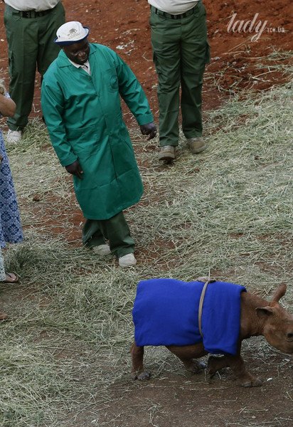 Королева Камілла / © Associated Press