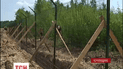 Яценюк обіцяє побудувати «Стіну» на кордоні з Росією до 2018 року