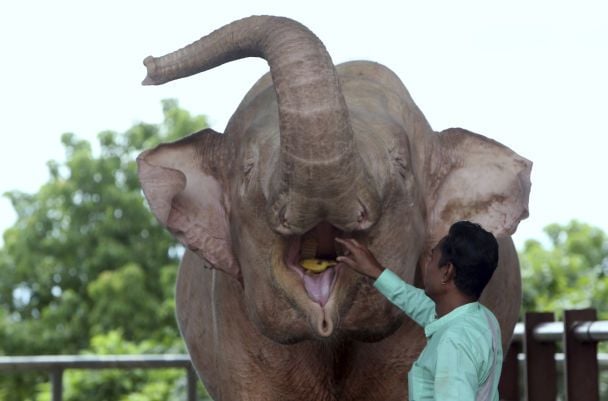  / © Associated Press