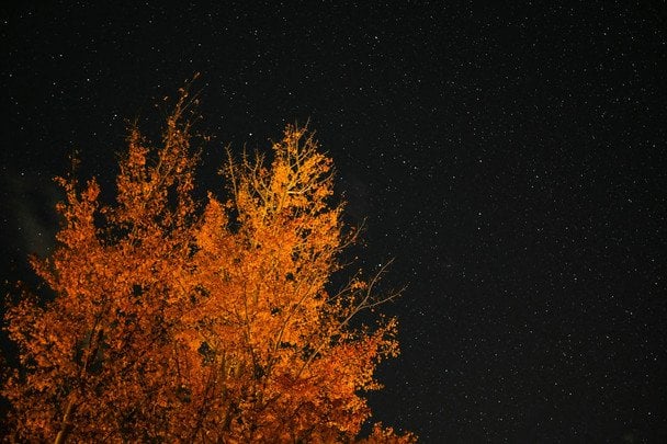 27 жовтня зоряне небо вночі — чекайте на ранню зиму / © unsplash.com