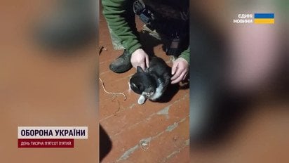 Неймовірні кадри! Бійці врятували фронтових тварин за допомогою БПЛА