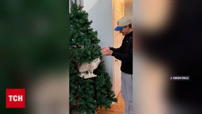 Ох и цены на новогодние елки! Только посмотрите!