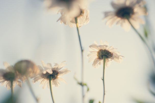 Народні прикмети 2 червня / © Pexels