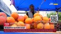 Цены — шок! Когда подешевеет черешня и где исчезли украинские абрикосы?