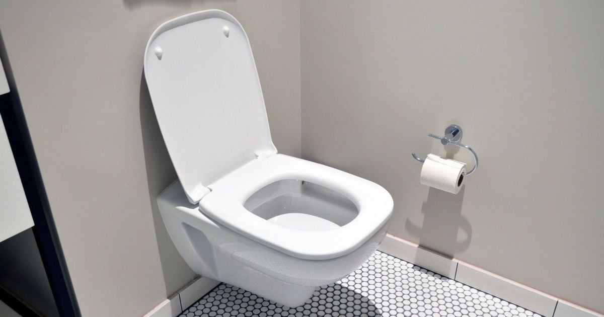 Почему не стоит протирать сиденье унитаза туалетной бумагой