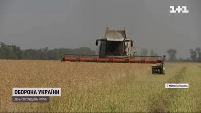 Серце кров'ю обливається: через рашистів згоріли 80% полів фермера з Миколаївщини Сергія Дзумана