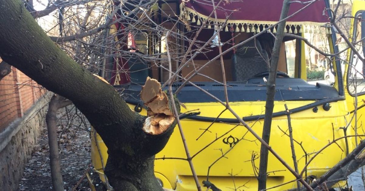 У Маріуполі маршрутка збила водія авто на узбіччі дороги та влетіла у дерево