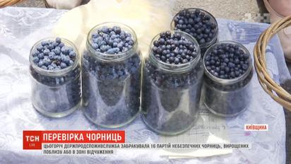 Чорниці із Чорнобиля: цьогоріч Держпродспоживслужба забракувала 16 партій небезпечних ягід
