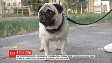 Осторожно, злой пес: собака держит в страхе двор на столичной Оболони