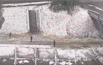 У Києві комунальники вирішили постригти газон під снігом: з'явилося відео